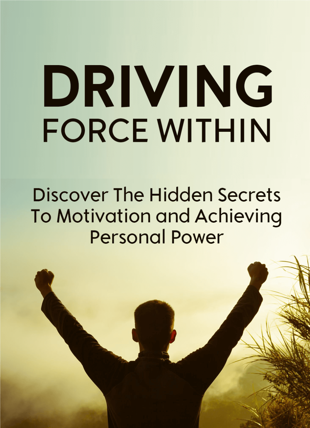 Driving Force Within